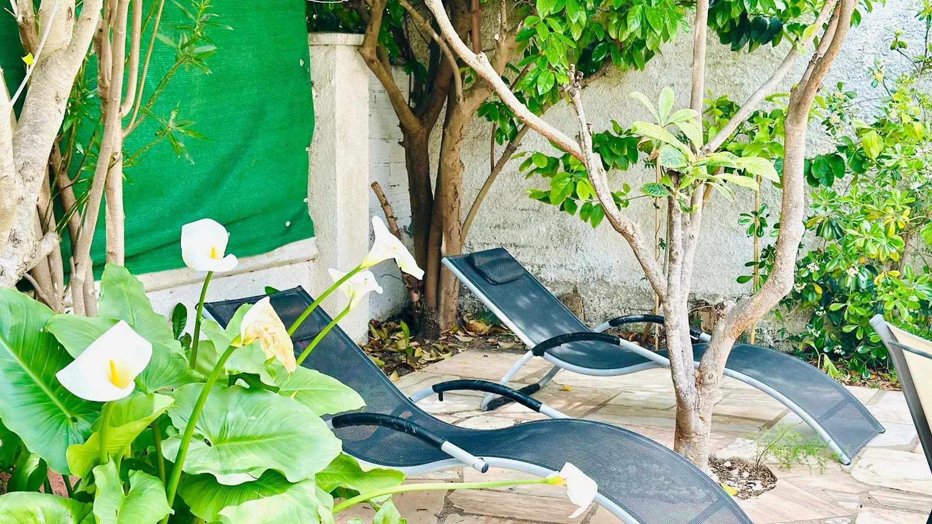 Vila Global Immo 5060 Casa Petite Roses Prázdninový dům